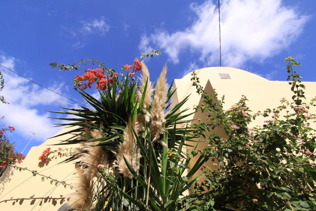 Ersi Villas Fira  Exteriér fotografie