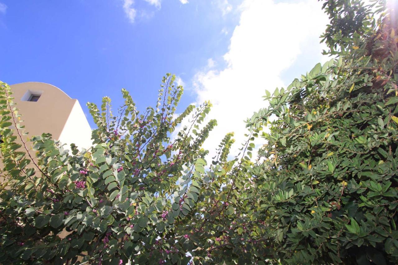Ersi Villas Fira  Exteriér fotografie